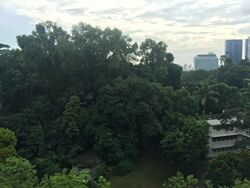 8 Napier (D10), Condominium #356028881